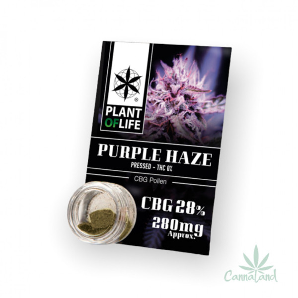 CBG Pollen 28% Purple Haze 1g