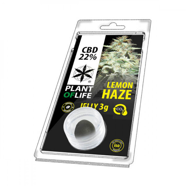 CBD Jelly 22% Lemon Haze 3g