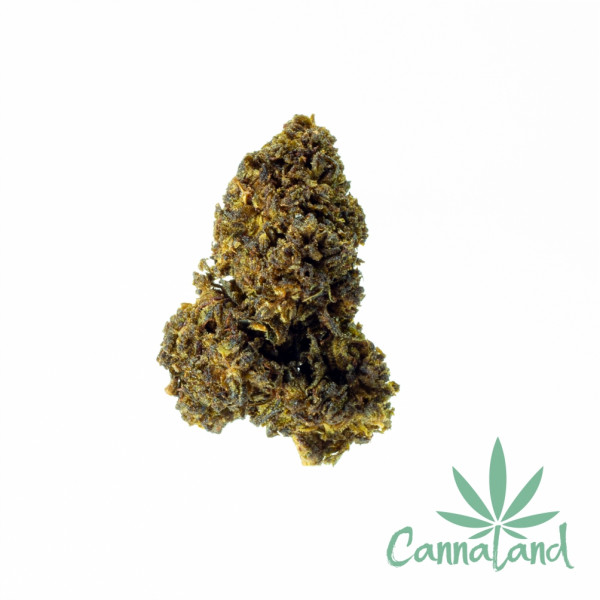 CBG9 20% 1g