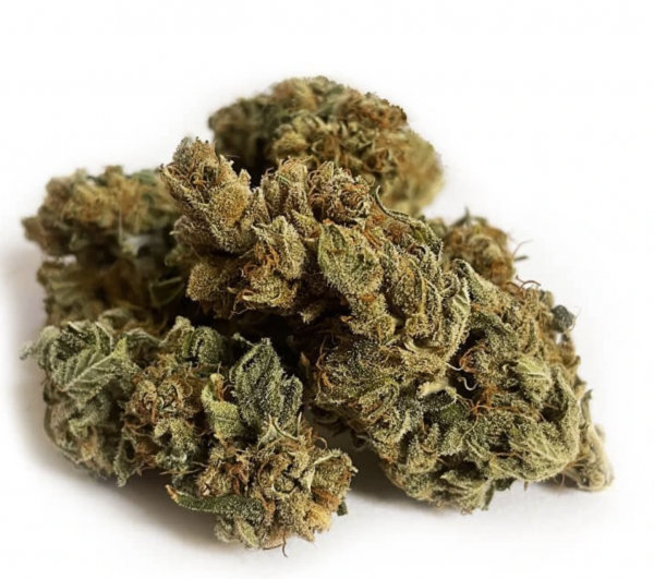 CBD Purple Punch JK-53 1g